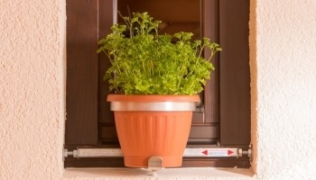 Haltebügeltyp Solo für Blumentöpfe