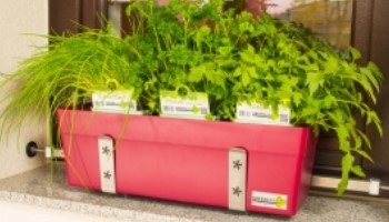 Haltebügeltyp GREENBAR