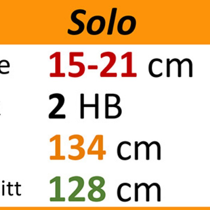 Blumentopfhalterung Solo / 2 Stk. HB / FLB 134cm
