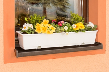 Montage AUF dem Fensterbrett