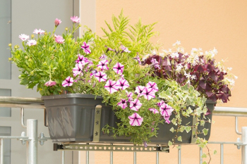 Balkon-Halterung für Balkonkästen